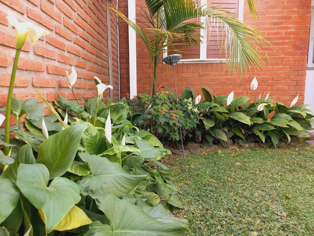 Apartamento Aeropuerto A 5' Y Ruta Del Vino A 100 Mts Salta Exterior foto